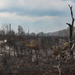 Incendie en Gironde : avancées de l’enquête judiciaire sur les causes du sinistre