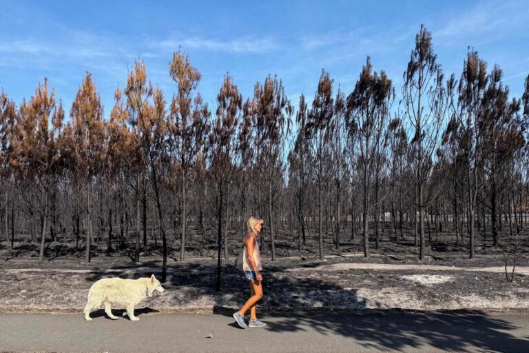 Canicule et incendies perturbent le tourisme en France durant l’été 2023