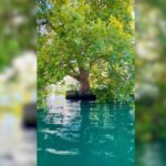 Un îlot vaudois sur le Léman suscite l’intérêt des chercheurs en géographie.