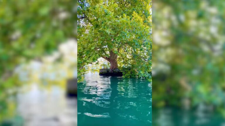 Un îlot vaudois sur le Léman suscite l’intérêt des chercheurs en géographie.