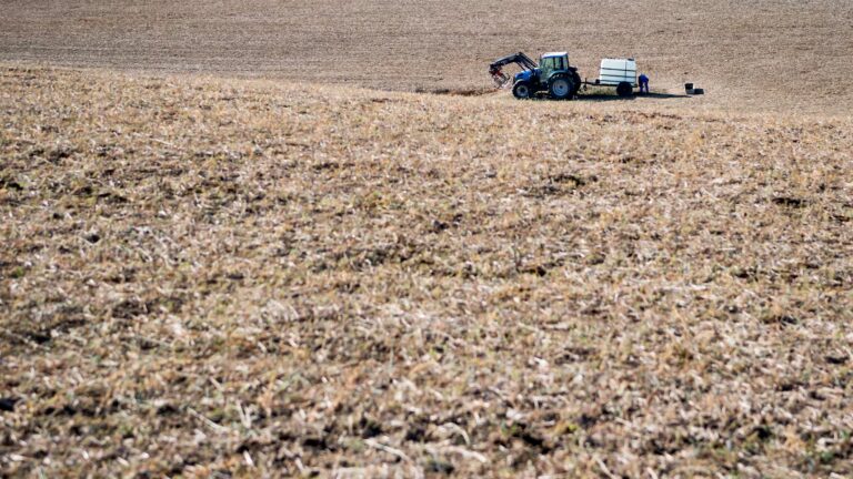 Météo : les agriculteurs face à la sécheresse témoignent de leurs difficultés.