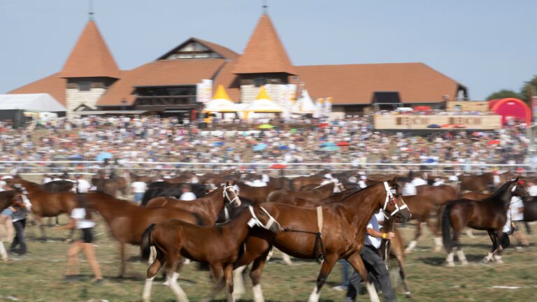 Marché-Concours : Le groupe Bélier dévoile son rôle dans l’histoire jurassienne.