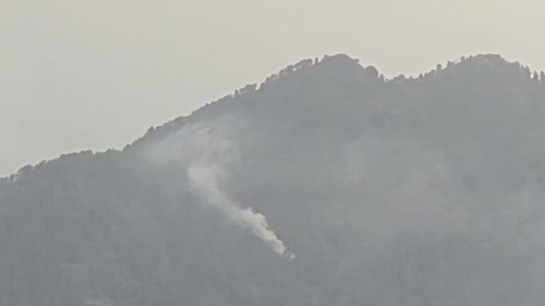 Incendie de forêt au Monte Gambarogno : intervention des pompiers en cours en Suisse.