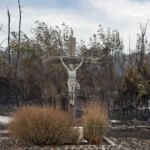 Incendies en France : Analyse des causes et des conséquences de la logique destructrice.