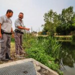 Irrigation illégale dans le Marais poitevin : enquête sur le vol d’eau en période de sécheresse.