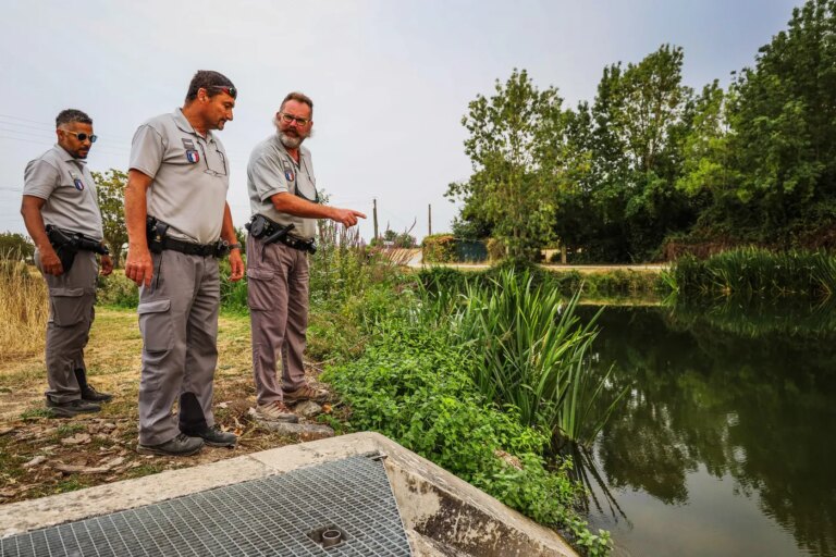 Irrigation illégale dans le Marais poitevin : enquête sur le vol d’eau en période de sécheresse.