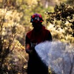 Incendies : les pays européens envisagent une mutualisation des moyens de lutte.