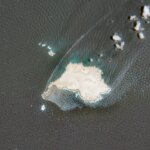 Oman : la marée noire touche les côtes, impactant la faune marine locale.