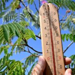 Chaleur record en Europe de l’Ouest entraîne canicule, sécheresse et incendies.