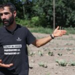 Sécheresse estivale : cours d’eau à sec et pertes agricoles en France.