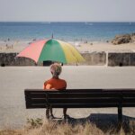 Météo : quatre canicules observées en France, trois vagues de chaleur déclarées.
