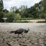 Canicule : 80 départements en vigilance orange face à une vague de chaleur prolongée.