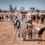 La COP17 sur la désertification engage des pays à des actions concrètes pour la durabilité.