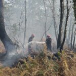Incendies dans les Landes : feu moins intense, premiers retours des évacués autorisés
