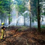 Feux de forêt en hausse : les pays nordiques face à une exposition croissante