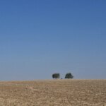 Transition énergétique : vers une transfiguration face à la crise climatique mondiale.