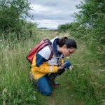 L’essor des sciences participatives grâce à Internet dans divers secteurs en France.