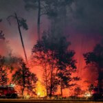 Incendies de forêt : la désinformation s&rsquo;intensifie face aux catastrophes naturelles