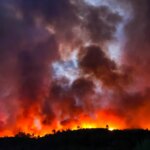 La nature considérée comme infrastructure vitale pour les politiques environnementales actuelles