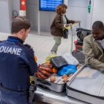 Espèces sauvages : le gouvernement met en place des mesures contre le trafic illégal