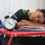 Rentrée scolaire : stratégies pour aider les enfants à retrouver leur rythme avant la reprise