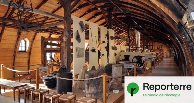 Les musées ruraux en France face à la menace de disparition de la mémoire du vivant