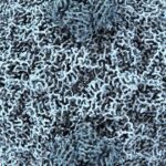 Virus créés par IA : défis éthiques et réglementaires pour les chercheurs et gouvernements.