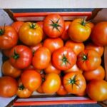 Rappel Consommateur – Détail Tomate ronde Prince