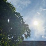 Nouvelle vague de chaleur dans les Bouches-du-Rhône : températures atteignant 36°C.
