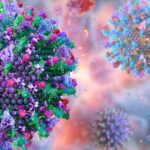 Des vaccins récents contre le zona réduisent le risque d&rsquo;accidents cardiovasculaires.