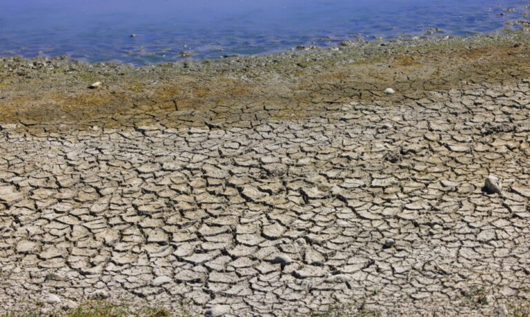 Allemagne : Changement de paradigme face aux canicules et ses conséquences environnementales