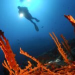 Grèce et Turquie : tensions autour des parcs marins en Méditerranée