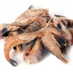 Crevettes grises cuites