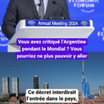 L’Argentine envisage d’interdire l’entrée aux critiques de son équipe nationale.