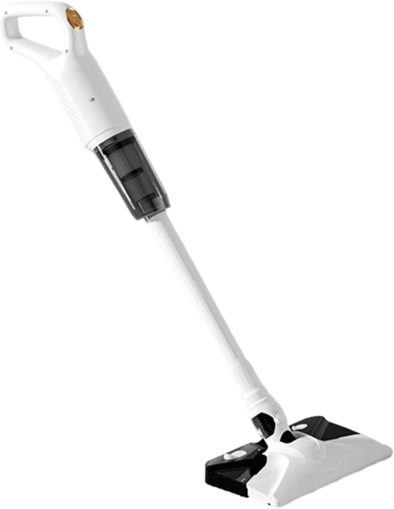 Aspirateur portable sans fil : léger et puissant pour bureaux et sols variés