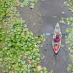 Escapade en kayak dans les îles de Sorel : découverte de la nature et de la tranquillité.