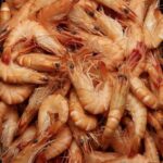 Rappel Consommateur – Détail Crevettes cuites 30/50 Sans marque