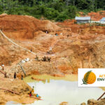 La réhabilitation des mines d&rsquo;or en Guyane ignore les fonctions biologiques des sols.