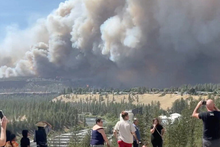 Des incendies de forêt ravagent l’État de Washington, provoquant évacuations et destruction.