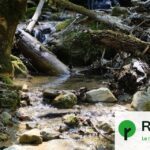 Sécheresse des petits cours d’eau en France : situation critique observée en juillet.
