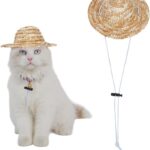 Nouveau chapeau d’été ajustable pour chiens et chats conçu pour le jardin et la plage