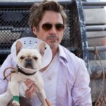 Robert Downey Jr. dans une comédie du réalisateur de Very Bad Trip sur Netflix