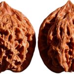 Des noix chinoises pour la promotion de la santé et le soulagement du stress chez les personnes âgées.