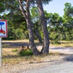 Aude en vigilance rouge pour risque d’incendie en raison de la sécheresse et du vent.