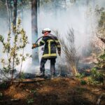 Feu de forêt : conseils pratiques d&rsquo;un sapeur-pompier pour prévenir les incendies en France