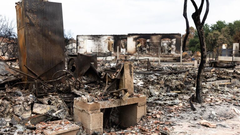 Plus de 600 artisans en Nouvelle-Aquitaine sollicitent de l’aide après des incendies.