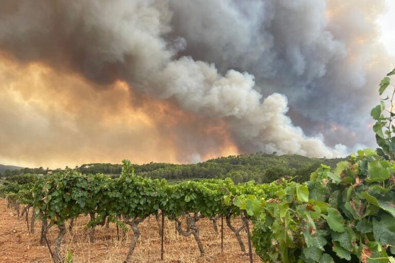 Incendie dans le Var : 600 hectares brûlés, 2 000 personnes évacuées à Correns.