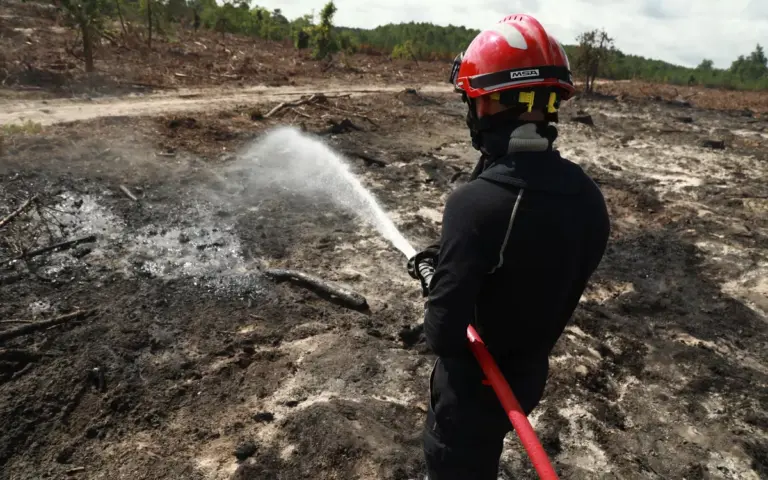 Mégafeu en Gironde : l’incendie toujours contenu, mais pas encore fixé ce samedi.