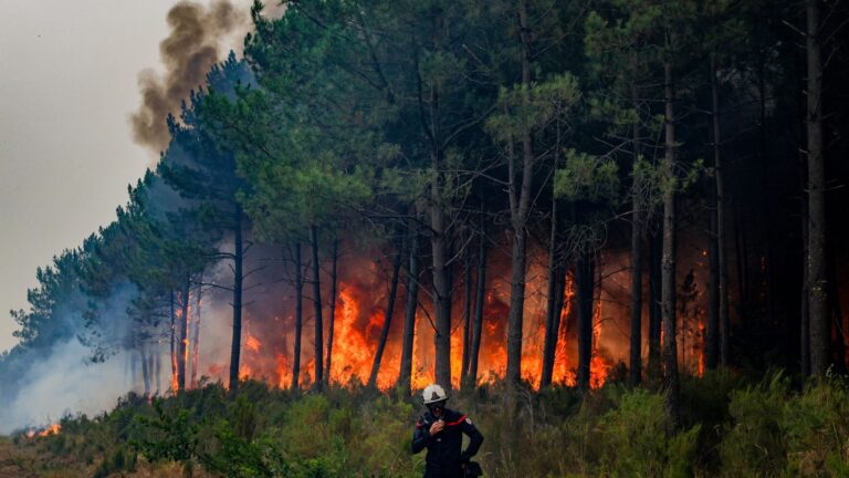 Incendie en Gironde : enquête sur l’origine de l’incendie à Saumos, dix jours après les faits