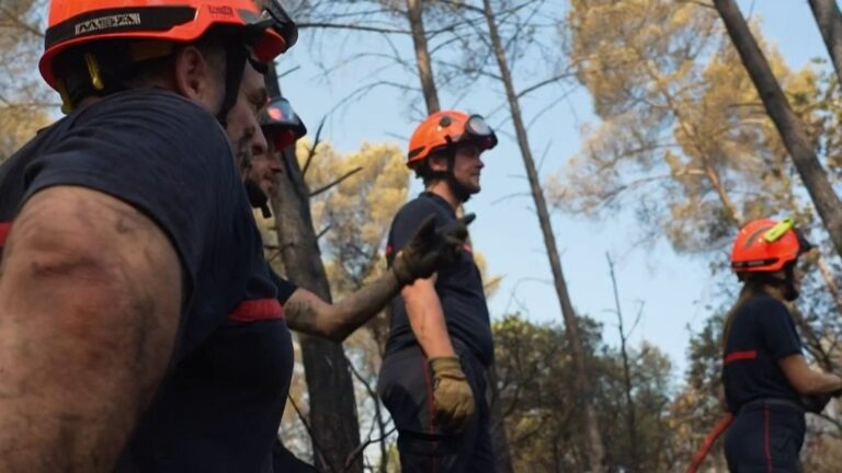 Incendie dans le Var : 1 250 hectares brûlés, la lutte se poursuit contre la reprise des flammes.